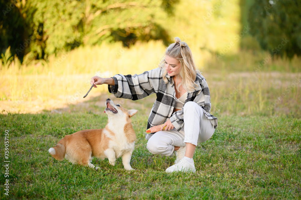 Blond owner trains and plays with his Pembroke Welsh Corgi with a stick while walking, teaching him proper behavior and new tricks. Concept of friendship between man and animals, training, game.