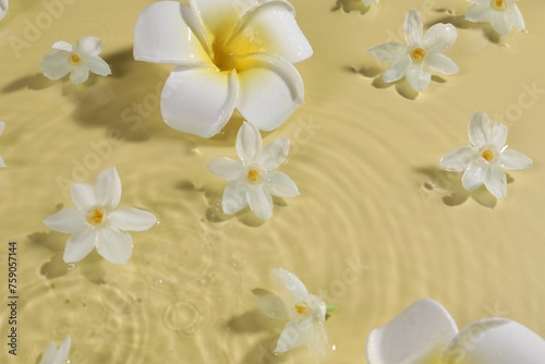 Beautiful flowers in water on pale yellow background