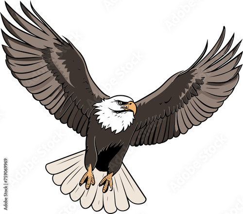 Eagle with Intense Gaze Detailed Vector Illustration © The biseeise