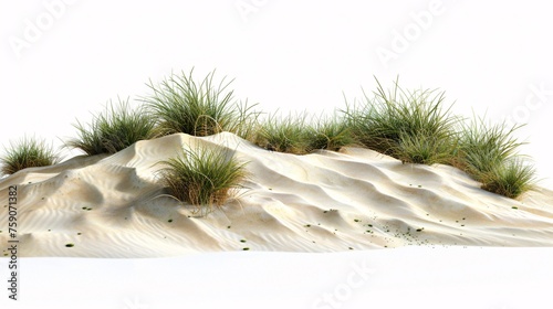 a sand dune with grass growing out of it photo