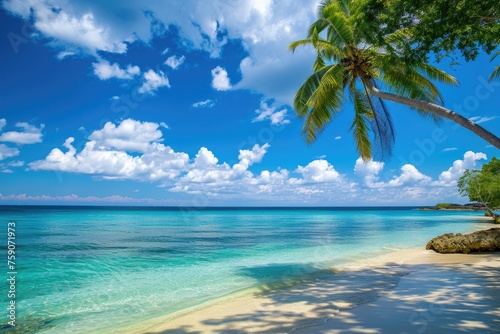Tropical island breeze with palm tree and blue sky