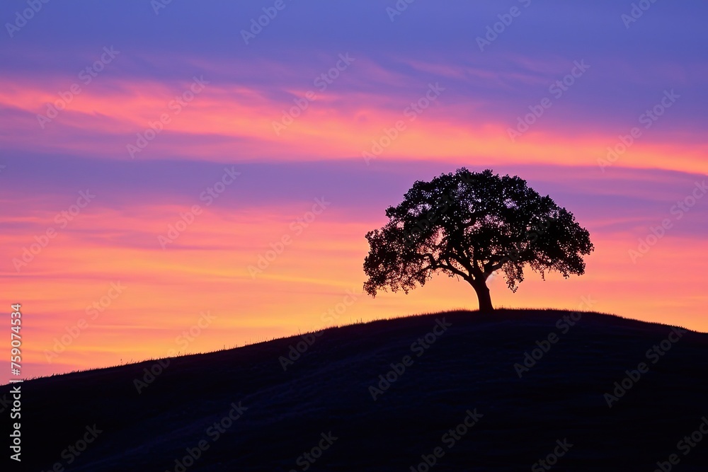 Lone Tree On A Hill Silhouetted Against The Sunset Lone Tree On A Hill Silhouetted Against The Sunset