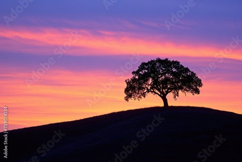Lone Tree On A Hill Silhouetted Against The Sunset
