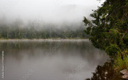 Nebel am Mummelsee im Schwarzwald photo