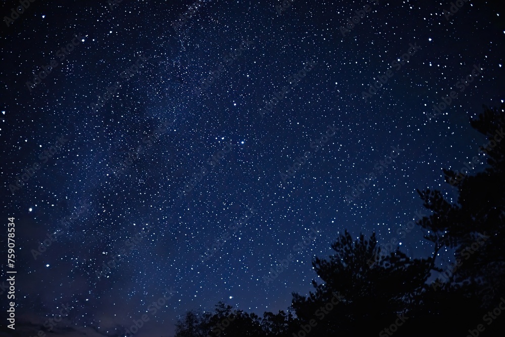 Clear night sky full of stars