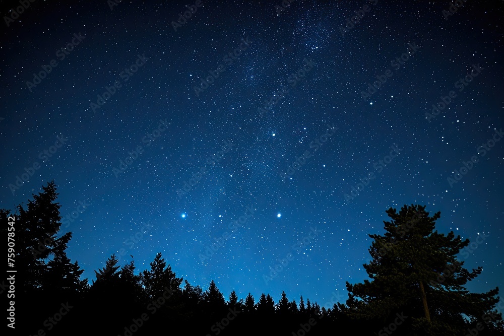 Clear night sky full of stars photography