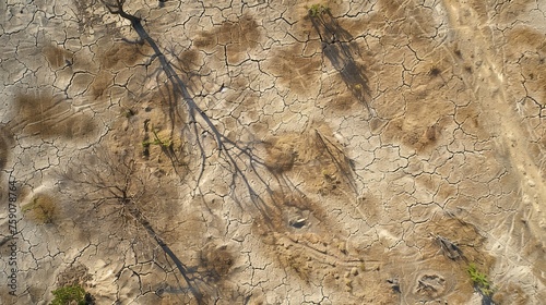 Overused dry land leading to desertification photo