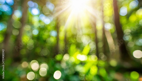 blurred out jungle forest abstract background with lots of bokeh and a sunrays and room for text photo