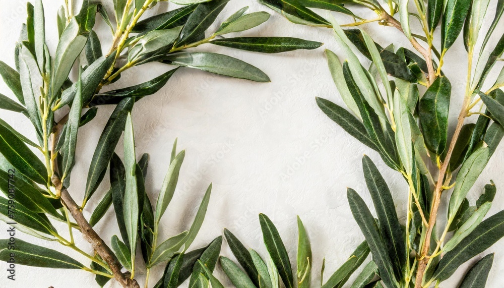 an overhead photo of a frame of olive tree branches with a place for ...