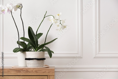 Blooming orchid flowers in pots on wooden chest of drawers near white wall indoors, space for text