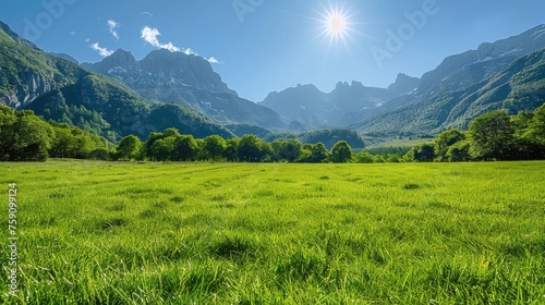 Grassy Field With Mountains in the Background