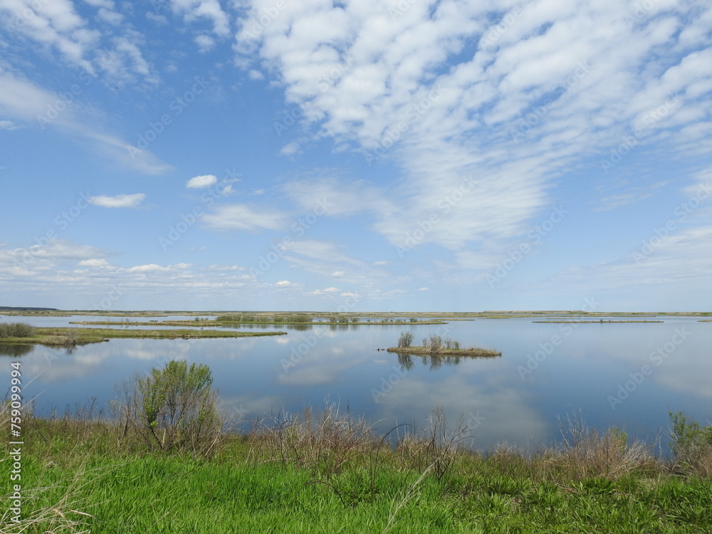 The scenic beauty of the Edwin B. Forsythe National Wildlife Refuge,  with natural reflections upon the calm wetland water.
