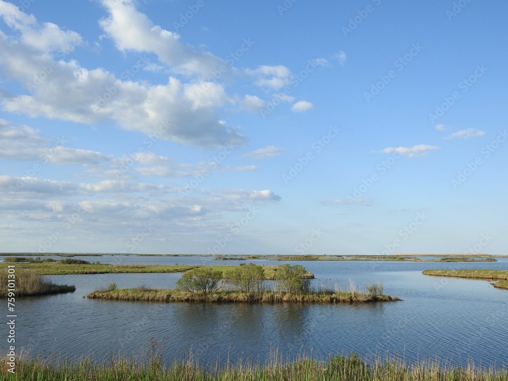The scenic beauty of the Edwin B. Forsythe National Wildlife Refuge during the spring season.