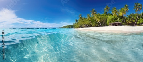 Crystal clear ocean water on a tropical island beach in the Indian Ocean. Best interior design inspiration. © Vusal