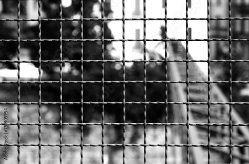 protective metal grille with dark tones and a dramatic black and white effect
