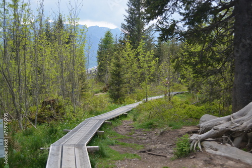 Chemin en suisse
