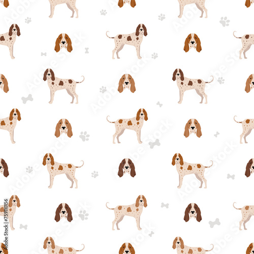 Italian pointer seamless pattern. Different poses, coat colors set