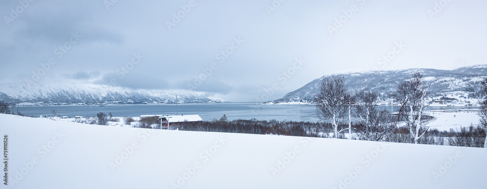Beautiful panoramic view of a snowy landscape along a fjord near Tromsø, northern Norway. Beautiful panoramic view of a snowy landscape along a fjord near Tromsø, northern Norway.