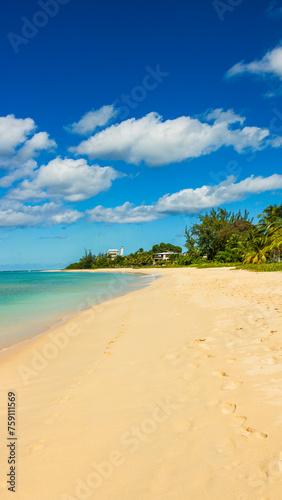 Fototapeta Naklejka Na Ścianę i Meble -  Barbados Island's Sandy Paradise Beach, Caribbean Island
