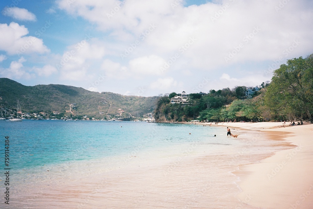 Obraz premium St. Lucia beach with dog,