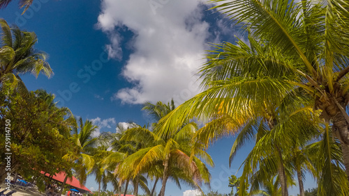 Tropical beach of Princess Cays Island