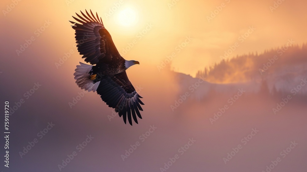 Obraz premium Eagle flying in sky in Grand Canyon in winter with snow.