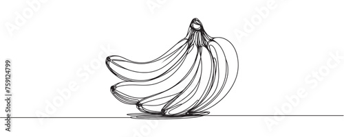 banana branch drawing, continuous line. vector illustration. Banana in one line.