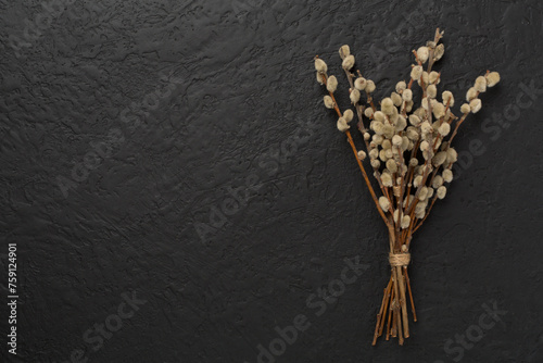 Pussy willow branches on concrete background, top, view. Palm Sunday concept