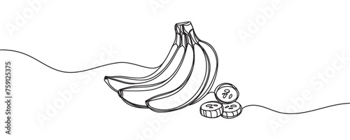 banana branch drawing, continuous line. vector illustration. Banana in one line.