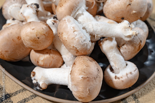 Organic Brown champignons mushrooms from underground caves in Kanne, Belgium, close up photo