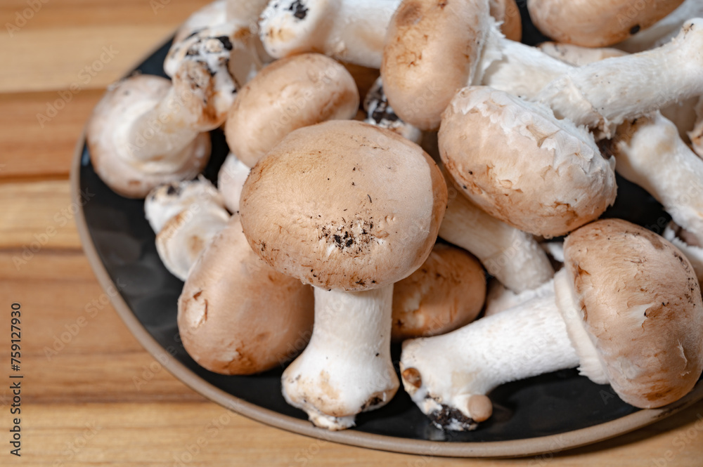 Organic Brown champignons mushrooms from underground caves in Kanne, Belgium, close up Organic Brown champignons mushrooms from underground caves in Kanne, Belgium, close up