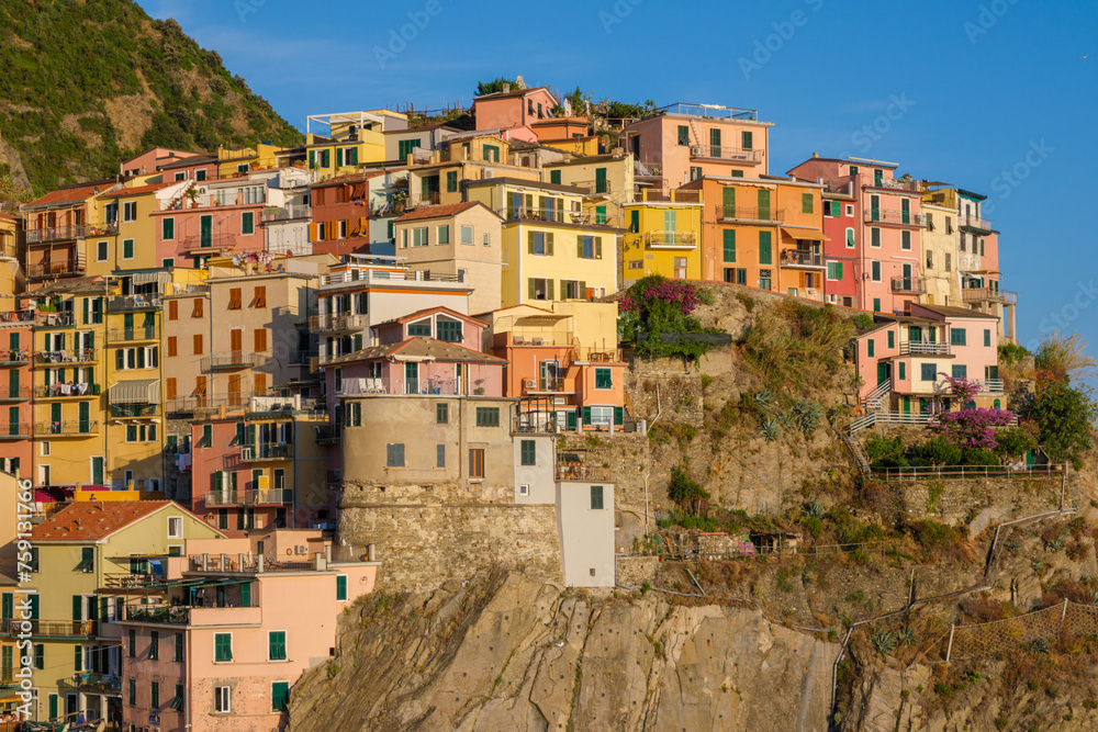 Colorful houses in Manarola village at sunset