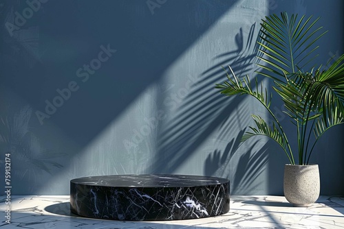 Round black marble podium and palm leaf, Abstract minimal geometric background, Aesthetic summer dais and shadows on the wall, 3D Modern design for product showcase photo