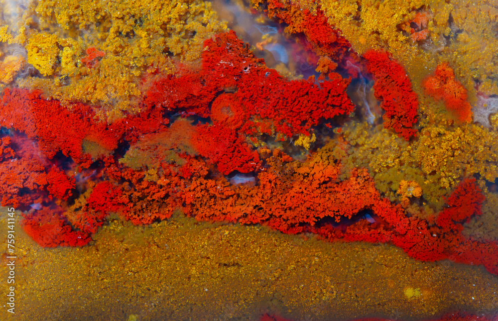 Colorful agate texture details macro Colorful agate texture details macro