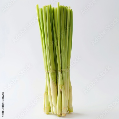 frontal view  standing lemongrass  plain white background 