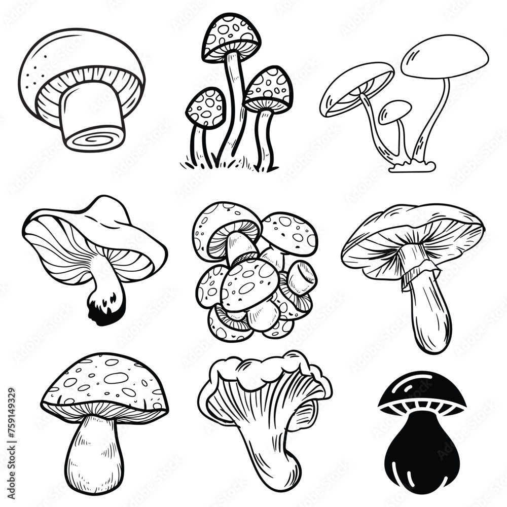 Vegetable mushroom handdrawn collection Vegetable mushroom handdrawn collection