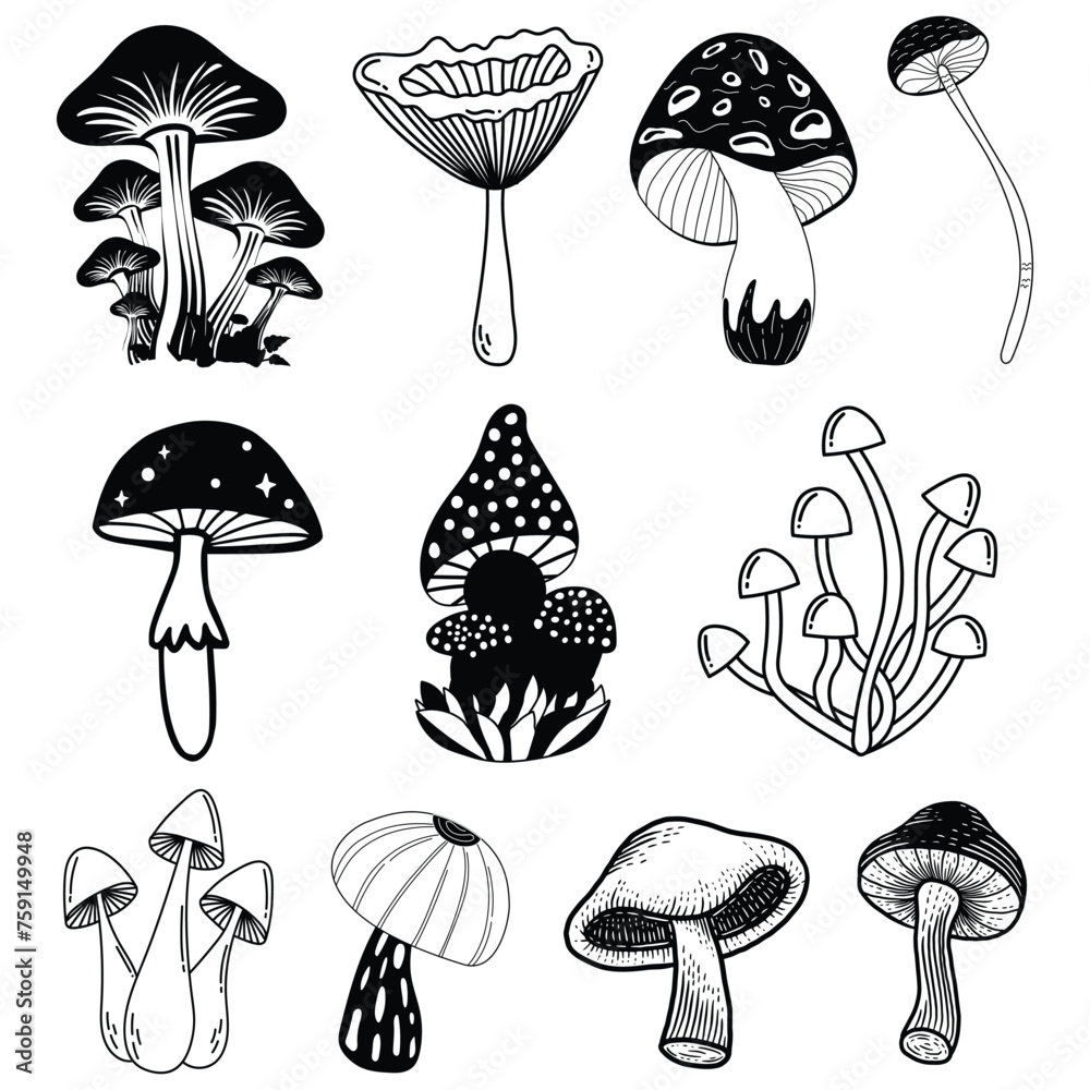 Mushroom plant set vector design