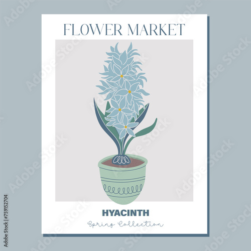 Flower poster. Trendy botanical wall art with hyacinth grows from a bulb in flowerpot. Fresh blooms, potted jacinth houseplant. Modern interior decoration. Flat style vector illustration.