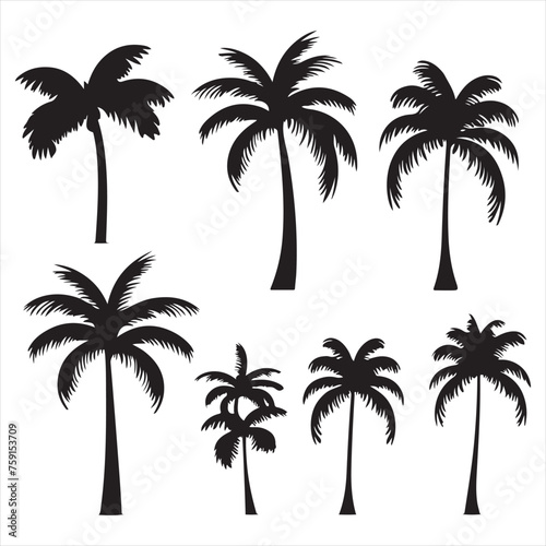 A black silhouette palm set 
