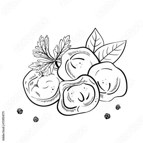 Dumplings composition. Bay and parsley leaf. Black pepper peas. Ink hand drawing. Food, vegetables isolated on white background. Book sketch illustration, recipe, menu, magazine or journal article.