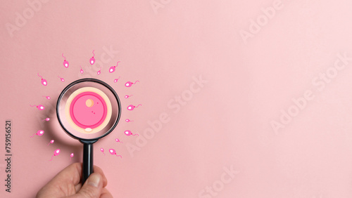 The active sperm swim to the egg. The concept of pregnancy, fertilization of the egg. Magnifying glass on ovum. photo