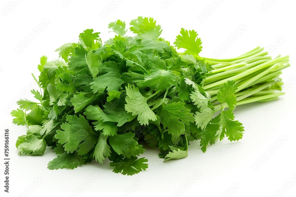 A bunch of vibrant, green parsley leaves stacked neatly on a plain white surface. A bunch of vibrant, green parsley leaves stacked neatly on a plain white surface.