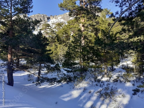 Montaña