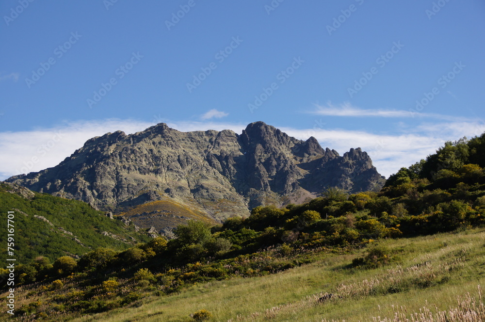 Naklejka premium montaña