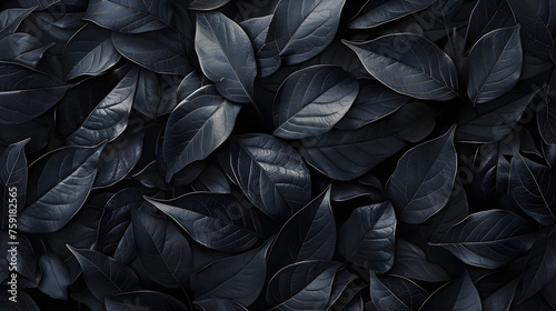 Textures of abstract black leaves for tropical leaf background  flat lay  dark nature concept  digital ai