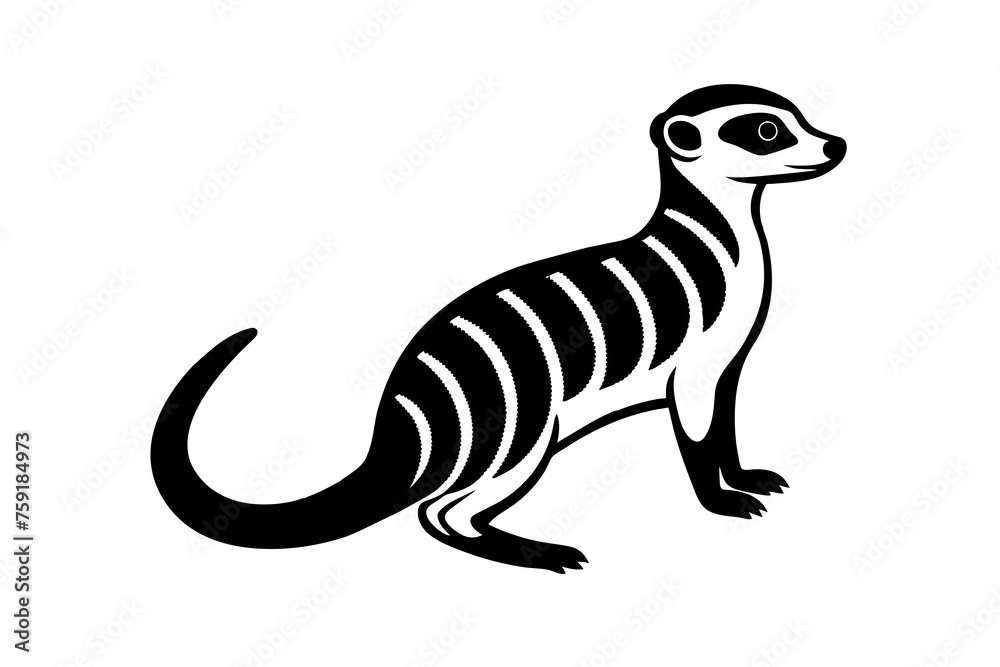 meerkat vector illustration