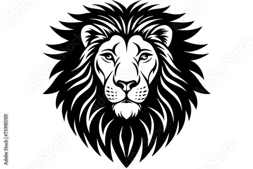 lion vector illustration