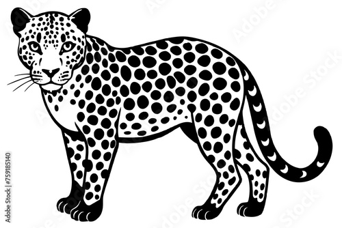 leopard vector illustration