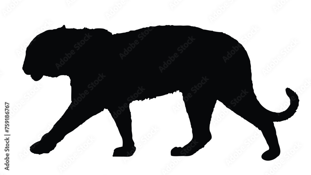 Naklejka premium Tiger Silhouettes Isolated on White Background