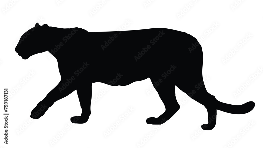 Panther Silhouettes Isolated on White Background